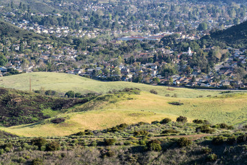 Fototapeta premium Suburban grasslands meadow with homes in background at Santa Monica Mountains National Recreation Area in Newbury Park, California.