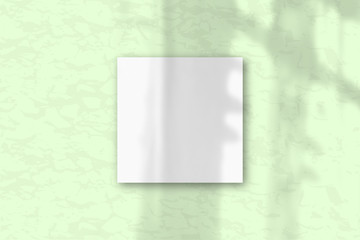A square sheet of white textured paper on a green wall background. Layout with an overlay of plant shadows Natural light casts shadows from the window. Flat lay, top view