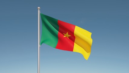 Flag of Cameroon