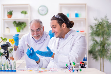 Two chemists working in the lab