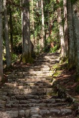 山中の石階段