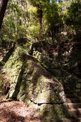 石階段と木漏れ日