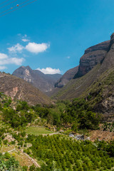 Fototapeta na wymiar Montaña y cultivos en sierra de Querétaro México