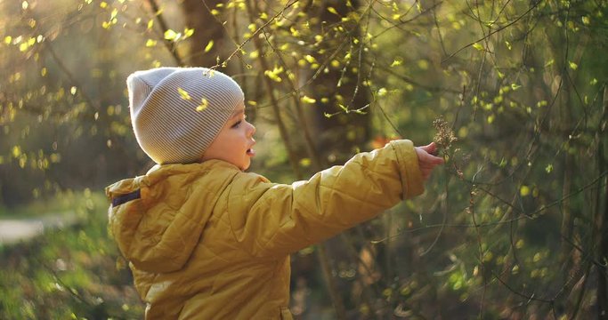 Preschoolers Exploring the Woods. Baby boy happy to walking. Little Baby Boy In Nature. 2-year-old boy in a yellow jacket studies and explores the forest and grass. Young researcher. Slow motion