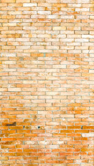 Colorful grungy brick wall background for use as a photo backdrop.