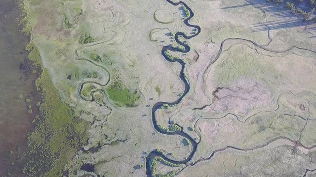 Meanders of the river and stream. Forest vegetation. Aerial image in the USA. Panoramic vertical from the top to the bottom. Aerial view of incredible landscape. Calm, relaxing horseshoe river meander