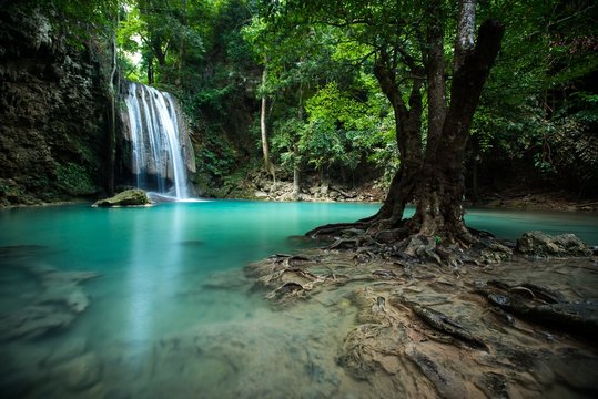 Scenic View Of Waterfall In Forest