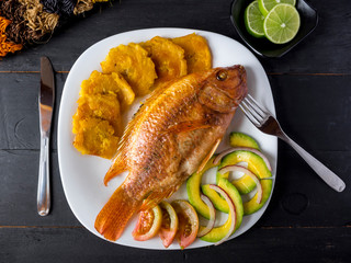 DISH WITH FRIED FISH AND AVOCADO SALAD