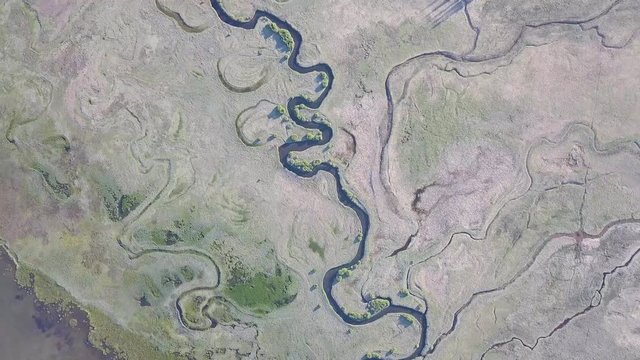 Meanders of the river and stream. Forest vegetation. Aerial image in the USA. Panoramic vertical from the top to the bottom. Aerial view of incredible landscape. Calm, relaxing horseshoe river meander