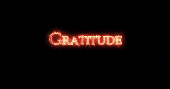 Gratitude written with fire. Loop