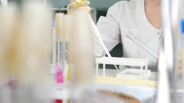 PCR laboratory medical equipment. Close-up shot of scientist working in sterile genetics laboratory with pipette. Researcher works at molecular genetic research laboratory workplace for DNA test. 4 k