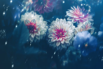 Fototapeta na wymiar Dramatic flower background; Nature Background
