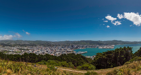 Panoramic view overlooking a grassy hill with trees and a harbor inlet with blue water surrounded by houses in the background. Located in the town of Wellington New Zealand.