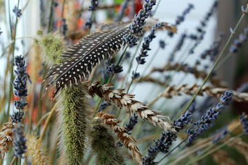 A bird plumage on a branch of dried flowers