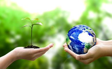 Woman hands holding world or globe and holding sprout on earth day.Environment conservation and energy saving concept.Elements of this image are furnished by NASA.
