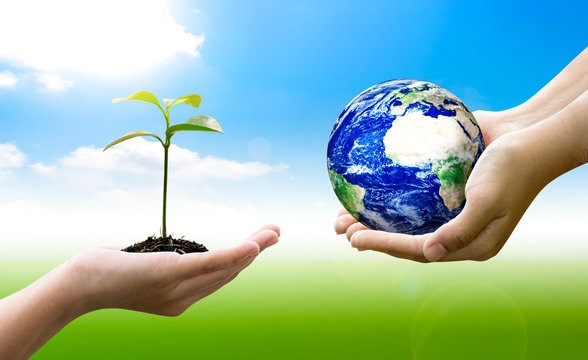 Woman hands holding world or globe and holding sprout on earth day.Environment conservation and energy saving concept.Elements of this image are furnished by NASA.