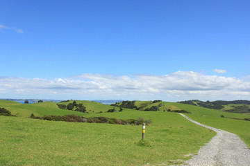 【 New Zealand 】Matakana