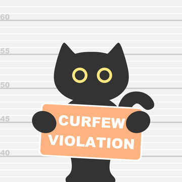 Black cat convicted of curfew violation during stay at home order 
