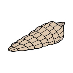 Hand drawn colorful sea shell isolated on a white background. Doodle, simple outline illustration. It can be used for decoration of textile, paper and other surfaces.