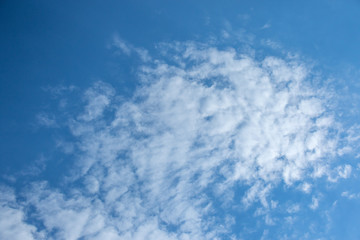 Fototapeta premium White clouds isolated in a clear cold blue sky on the Highveld of South Africa image for background use