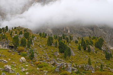 The peaks of the Dolomites in Italy are covered in fog. Early wet foggy morning. Beginning of autumn. Clean fresh air, lack of people. Selective focus.