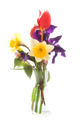 spring flowers