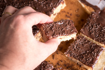 Pedaços de Bolo Formigueiro com Cobertura de Chocolate ao Leite e Granulado de Brigadeiro sobre papel manteiga