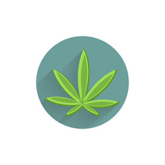 Cannabis icon, marijuana leaf colorful flat icon with shadow. marijuana flat icon