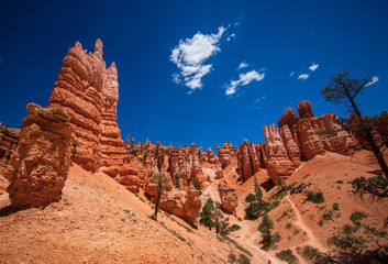 Fototapeta premium Beautiful Bryce Canyon, United States