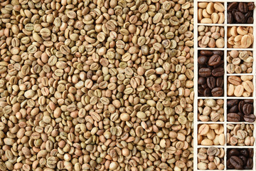  Close up of coffee beans for background                                