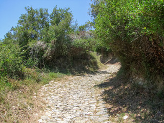 Sunken lane at Alonnisos in Greece