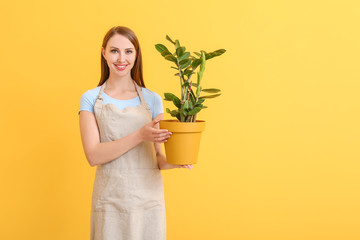 Portrait of female florist with plant on color background