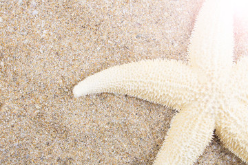 Fototapeta na wymiar Starfish on golden oceanic sand, in the rays of the summer sun. The concept of tourism, holidays and travel, vacation by the sea ocean. Copy space. Flat lay. Top view.