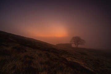 A misty sunrise produces a purple haze as mist rises above top withens, a derelict farmhouse associated with emily brontes novel wuthering heights