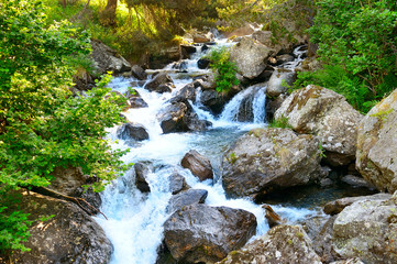 Landscape with mountains, forest and a river in front.
