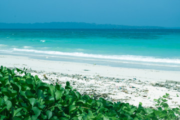 A shot of clean white sandy beach with Indian Ocean and horizon