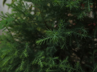 Its all about the perspective and this perspective need practice and to have a practice on that we should have a good min to focus on beauty and the admire the way in which things are being.