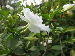 Obraz premium Its all about the perspective and this perspective need practice and to have a practice on that we should have a good min to focus on beauty and the admire the way in which things are being.