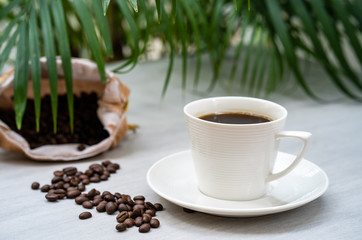 Cup coffee with sack roasted coffee bean against palm leaves background.