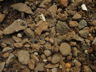 Its all about the perspective and this perspective need practice and to have a practice on that we should have a good min to focus on beauty and the admire the way in which things are being.