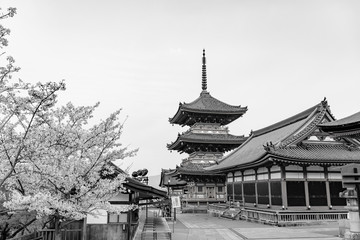 Fototapeta na wymiar 【モノクローム】清水寺の三重塔