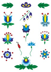 Polish Kashubian folk flowers elements