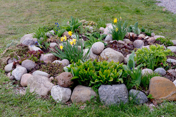 flower bed in the garden, landscape design