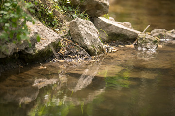 Stones lie on the bank of a stream and are reflected in the water