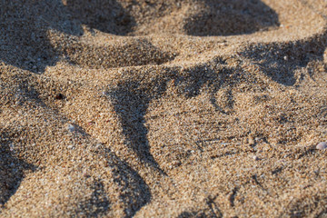 texture of sand