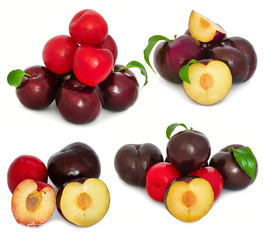 ripe plums on a white background. isolate