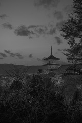 【モノクローム】清水寺の三重塔