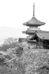 【モノクローム】清水寺の三重塔