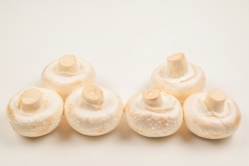Champignon mushroom isolated on white background.