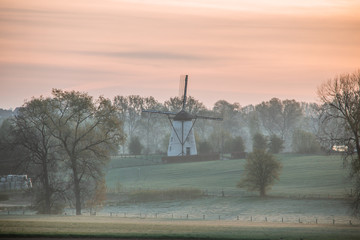 winter landscape with a tree